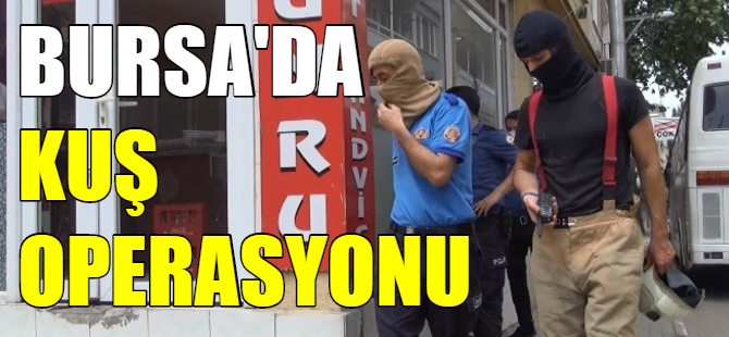 Bursa'da kuş operasyonu