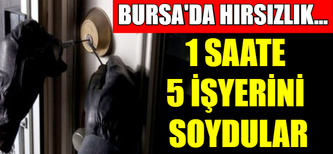 Bursa'da hırsızlık