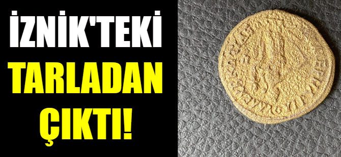 İznik'teki tarladan çıktı