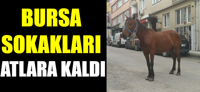 Bursa sokakları atlara kaldı
