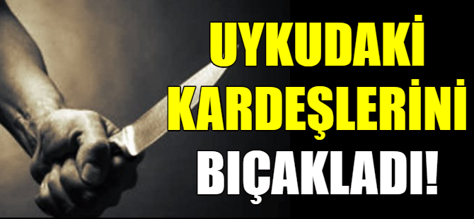 Uykudaki kardeşlerini bıçakladı