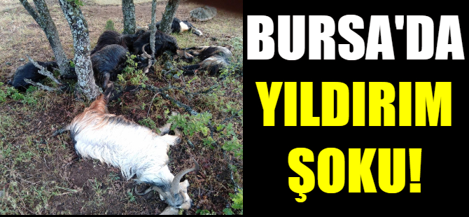 Bursa'da yıldırım düştü!