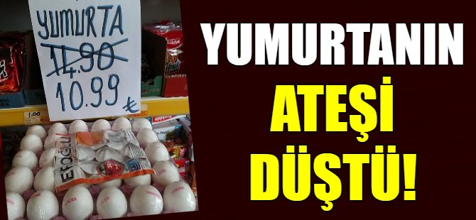 Yumurtanın ateşi düştü!