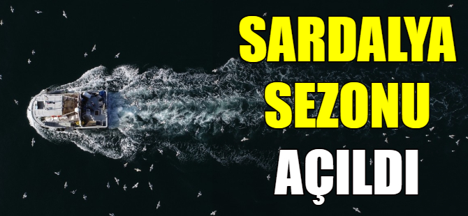 Sardalya sezonu başladı