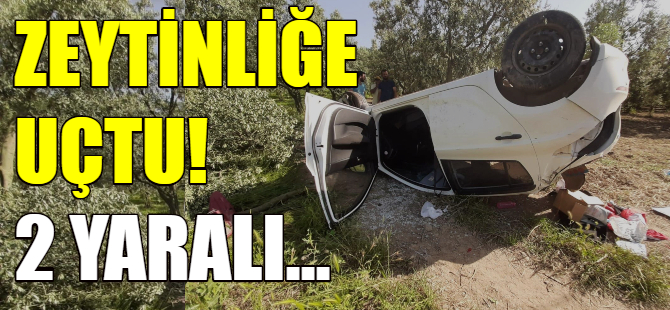 Otomobil zeytinliğe uçtu