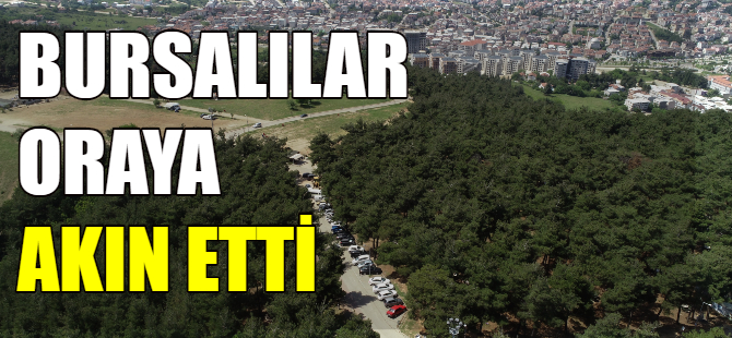 Bursa'da piknik akını