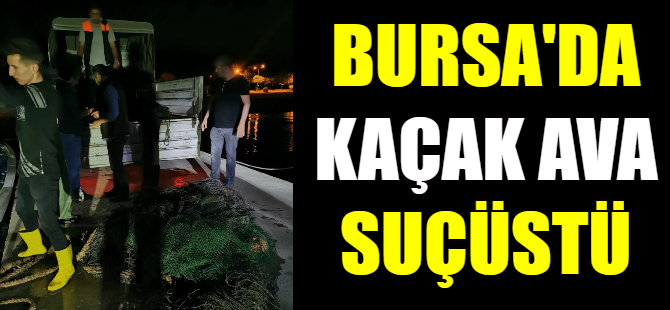 Bursa'da kaçak ava suçüstü
