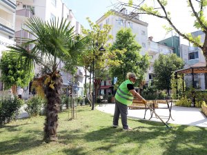 Mudanya'da yaz temizliği