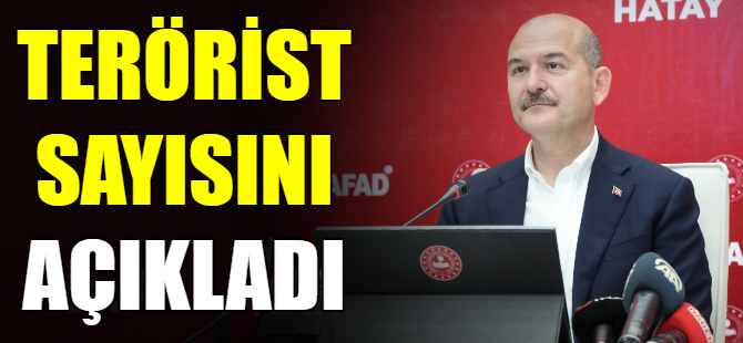 Soylu,kalan terörist sayısını açıkladı