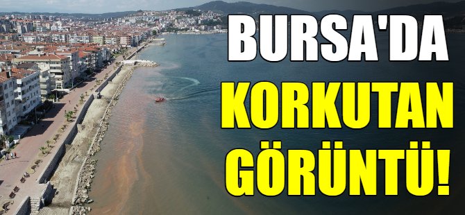 Deniz turuncuya boyandı
