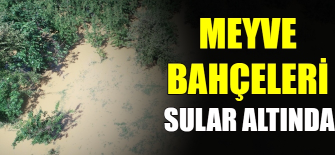 Meyve bahçeleri sular altında