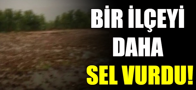 Yenişehir'de sel!