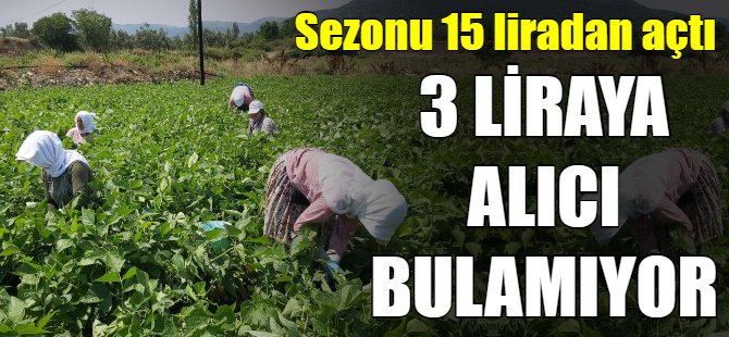3 liraya alıcı bulamıyor...