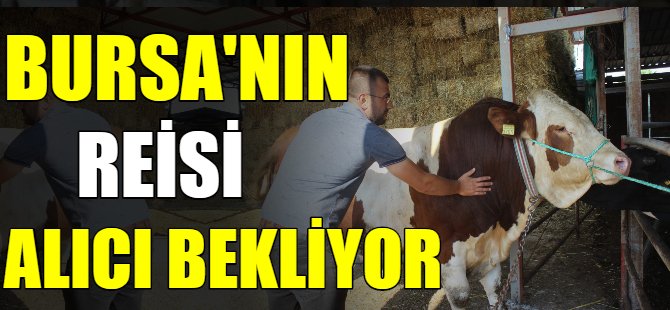 Bursa'nın 'Reis'i alıcısını bekliyor