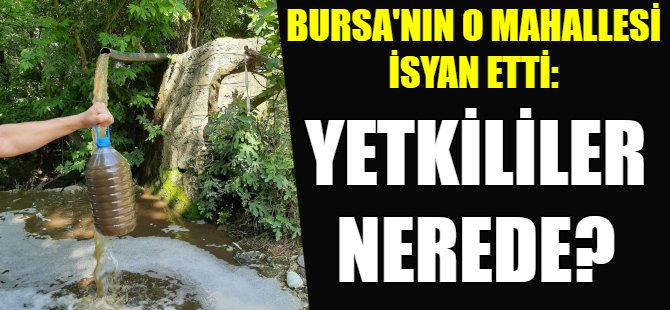 Bursa'da çevre felaketi!