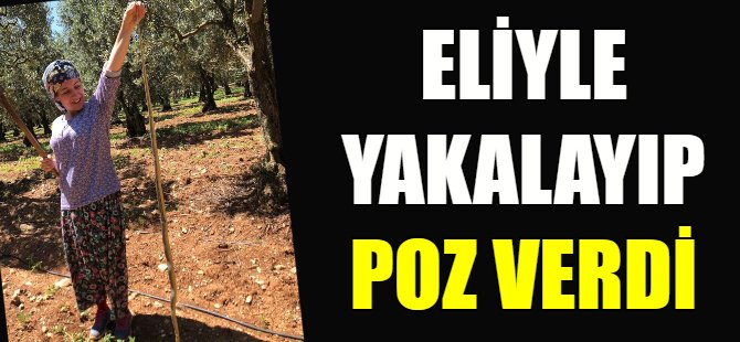 Boyundan büyük yılan yakaladı