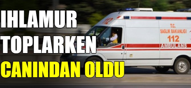 Ağaçtan düşerek hayatını kaybetti