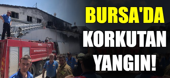 Bursa'da korkutan yangın