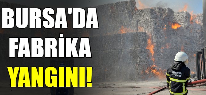 Bursa'da fabrika yangını!