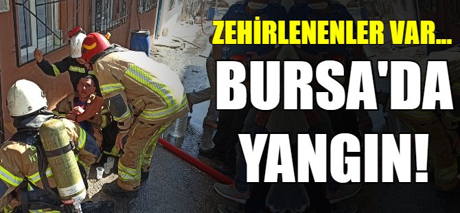 Bursa'da yangın!