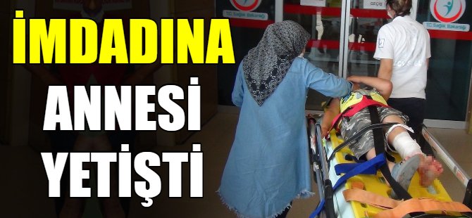 Yaralanan oğlunu böyle teselli etti