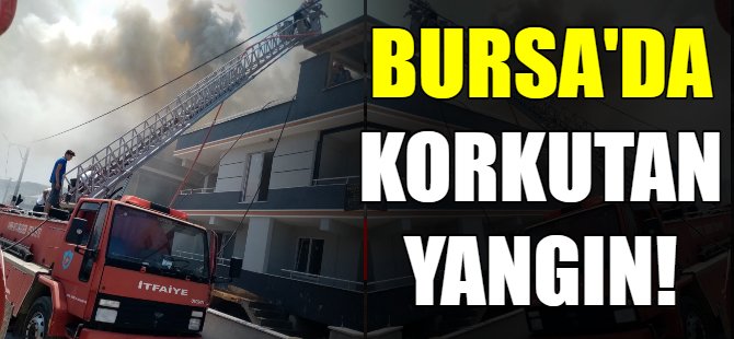 Bursa'da korkutan yangın!