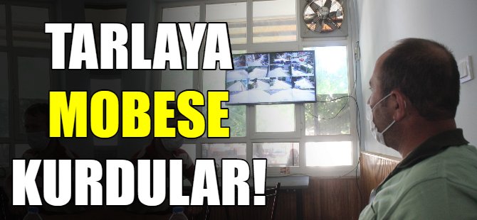 Tarlaya mobese kurdular!