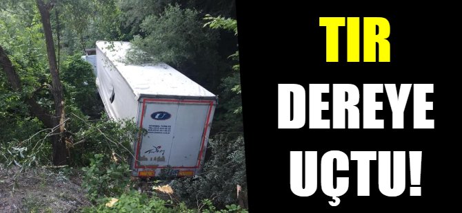 TIR dereye uçtu!