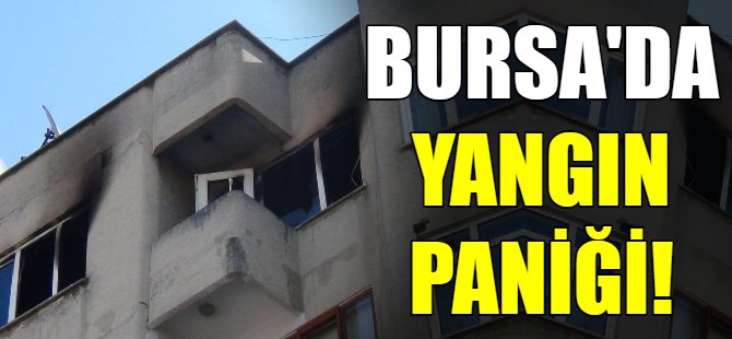 Bursa'da yangın! Küle döndü...