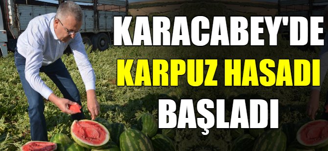 Karacabey’de karpuz hasadı başladı