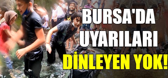 Şelaleyi gören koronayı unuttu!