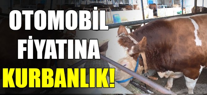 Otomobil  fiyatına kurbanlık