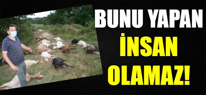 Bunu yapan insan olamaz!