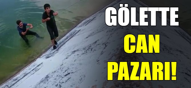 Gölette can pazarı!