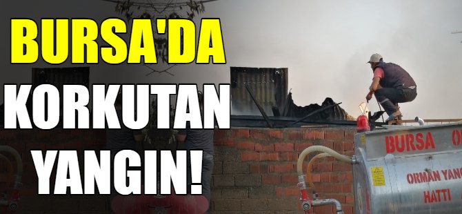 Bursa'da korkutan yangın