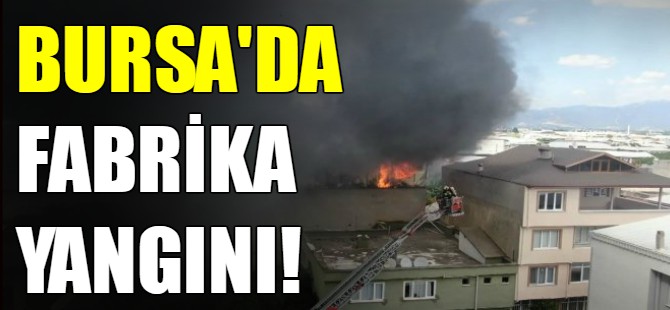 Bursa'da fabrika yangını!