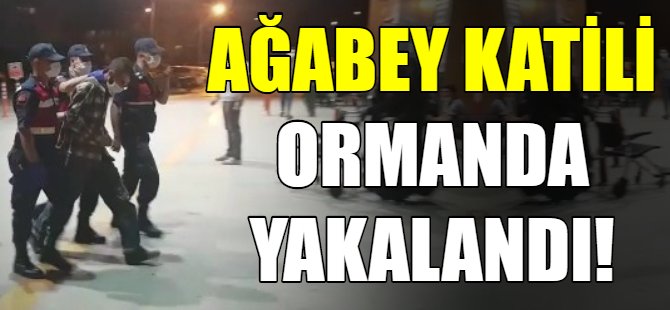 Ağabey katili ormanda yakalandı!