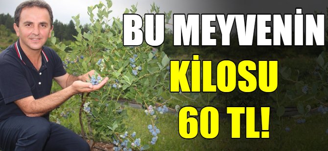Bu meyvenin kilosu 60 TL!