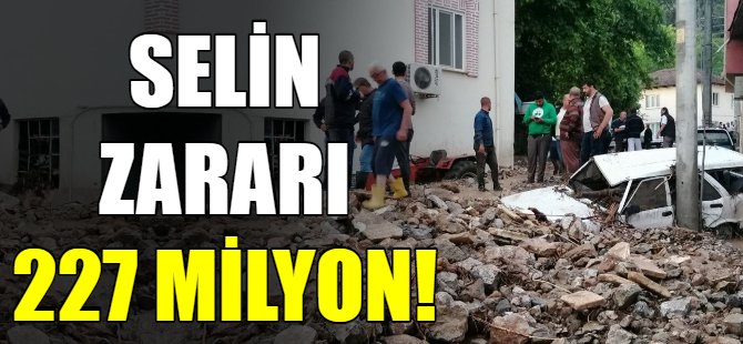 Selin zararı 227 milyon!