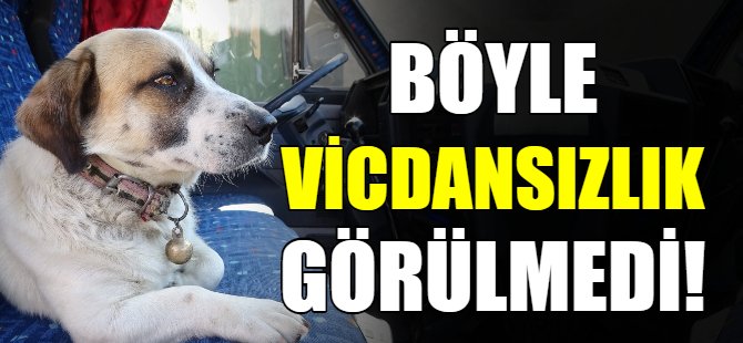 Böyle vicdansızlık görülmedi!