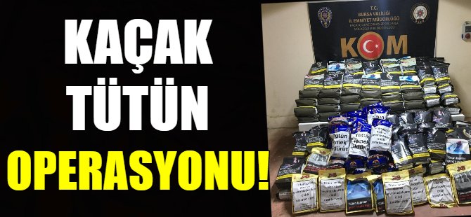 Kaçak tütün operasyonu!