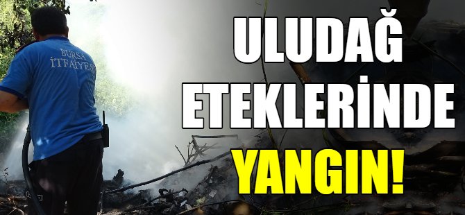 Uludağ eteklerinde yangın paniği!