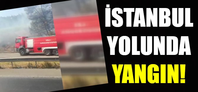 İstanbul yolunda korkutan yangın!
