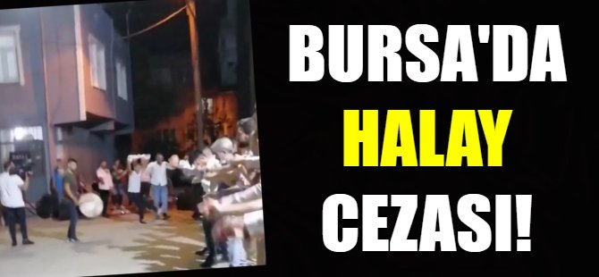 Bursa'daki halay pahalıya patladı!