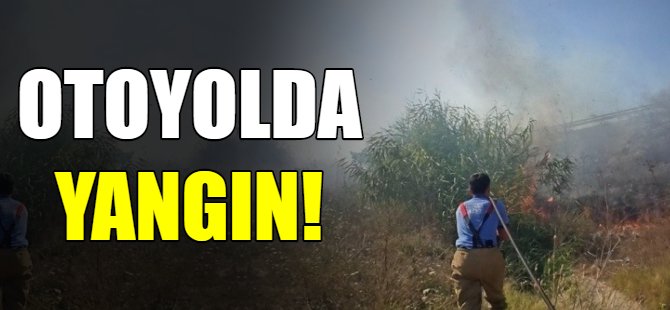 Alevler otoyola kadar yükseldi