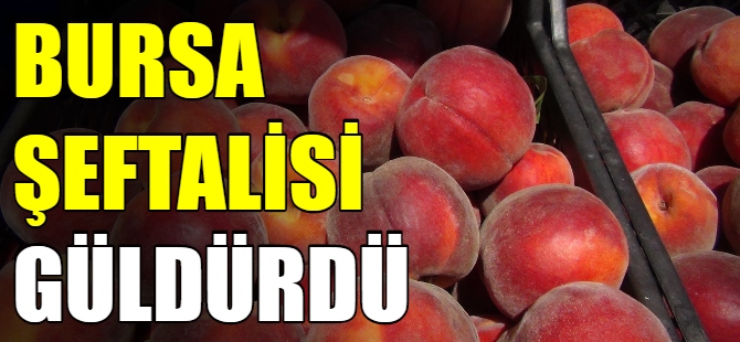 Bursa şeftalisi yüz güldürdü