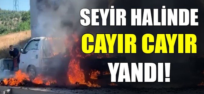 Kamyonet cayır cayır yandı!