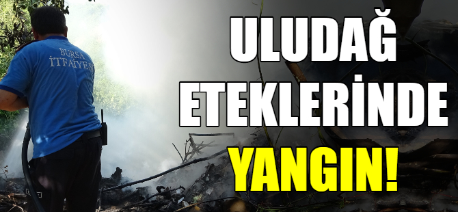 Uludağ eteklerinde yangın!