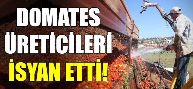 Domates üreticileri isyandı!