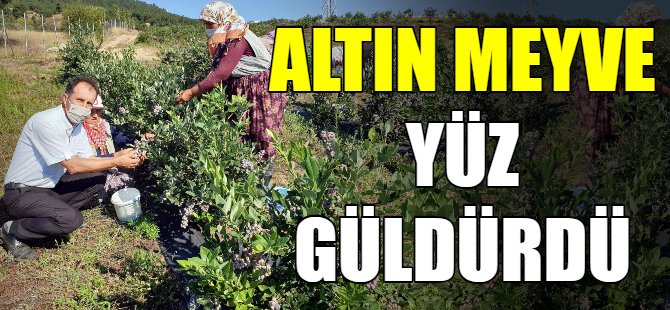 Altın meyve yüz güldürdü!